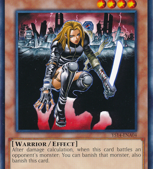 D.D. Warrior Lady [YS14-ENA04] Common Discount