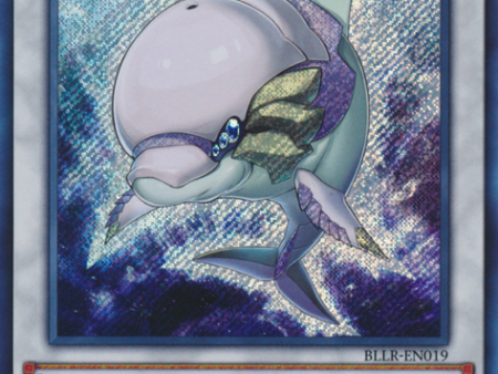 White Aura Dolphin [BLLR-EN019] Secret Rare Online